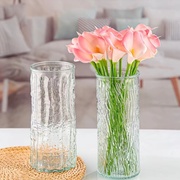 透明玻璃花瓶ins风高颜值轻奢北欧风客厅创意摆件干花水培插花器