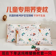 儿童定型荞麦枕头1-3-6-12岁以上小孩幼儿园宝宝专用护颈枕头四季