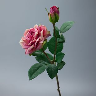 奥斯丁保湿玫瑰花仿真花束假花欧式装饰绢花客厅餐桌室内拍摄道具