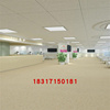 商用PVC塑胶地板医院家用耐磨防水防滑办公室会议室满铺地胶加厚