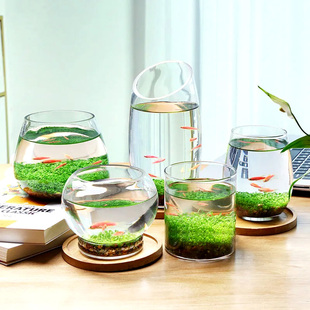 生态瓶水草缸鱼缸玻璃，微景缸办公桌面创意造景观，鱼缸真水草种子