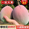 果客四川攀枝花·凯特芒果·当季新鲜水果青皮，大芒果一年一季