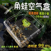 水陆两栖寄居蟹带盖套餐乌龟盒保湿透明饲养盒角蛙饲养箱宠物高龟
