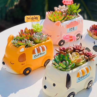 多肉花盆创意可爱卡通小动物汽车造型小狗熊猫儿童幼儿园盆栽