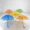 直杆长柄阿波罗伞植物枫叶，款鸟笼伞公主，伞蘑菇伞透明雨伞透明雨伞