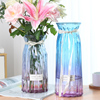特大号两件套玻璃花瓶透明水养百合花富贵竹花瓶客厅插花摆件
