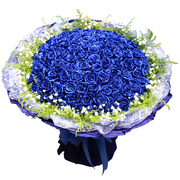 33朵蓝色妖姬玫瑰花束生日，送上海同城鲜花，速递送北京深圳广州