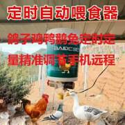鸽子用品用具自动喂食器信鸽食槽定时鸡鸭鹅兔自动喂食机喂鸡神器