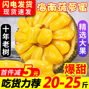 海南黄肉菠萝蜜新鲜水果，波罗蜜当季特产一整个20-40斤整箱红