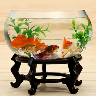 玻璃鱼缸圆形透明生态创意鱼缸客厅桌面加厚玻璃鼓缸金鱼缸