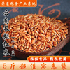 5斤装云南红米长粒红糙米，红香米血稻米杂粮粗粮食2500g
