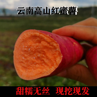 云南高山红心红蜜薯西瓜红薯农家自种糖心番薯5斤9斤