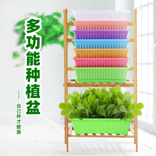 长条形阳台种菜盆种菜神器蔬菜种植箱家庭家用长方形，花槽塑料花盆