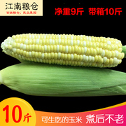 农家爆甜新鲜水果玉米甜玉米生吃嫩苞谷玉米棒子云南应季蔬菜10斤