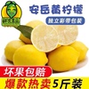 柠檬 安岳柠檬 黄柠檬一二级小柠檬 新鲜柠檬水果5斤装