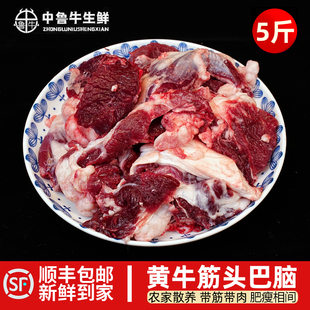 清真5斤筋头巴脑牛碎肉生鲜牛肉筋国产黄牛剔骨牛肉炖肉红烧火锅