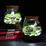 水滴带灯苔藓瓶 绿植物微景观生态瓶室内桌面趣味微型创意DIY盆栽