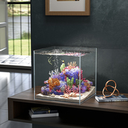 超白鱼缸客厅小鱼缸小型玻璃桌面水草乌龟金鱼缸裸缸生态造景