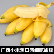 广西小米蕉新鲜水果香蕉3粉蕉芭蕉带箱带箱10斤bajiao