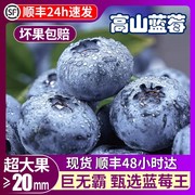 22mm+果王云南蓝莓鲜果高山，特大孕妇新鲜水果当季整箱现摘5斤