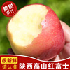 陕西高山红富士新鲜苹果脆甜当季正宗丑苹果一级水果整箱10