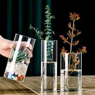 高硼硅玻璃直筒花瓶绿萝雪柳玻璃，花瓶干花插花器水培景观花盆
