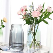 创意简约轻奢玻璃花瓶水培花器家居干花鲜花插花瓶客厅装饰摆件
