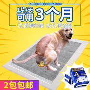 狗狗尿片宠物尿垫金毛，一次性吸水尿布，大号尿不湿除臭厕所卫生纸垫