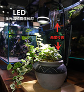 全光谱led植物灯木板灯盆景苔藓，瓶补光鱼缸，灯水族灯水草灯多肉灯