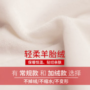2024纯棉衬衫女长袖韩版修身木耳，领立领气质淑女打底衫白