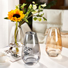 北欧简约ins风玻璃花瓶透明插花水养鲜花水培器皿客厅创意小摆件