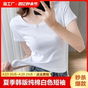 夏季韩版纯棉白色短袖t恤女2024年夏黑色修身显瘦圆领上衣