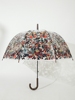 拱形公主遮阳伞折叠雨伞鸟笼，款防晒防紫外线，晴雨两用伞拍照透明伞