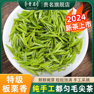 明前头采2024新茶，特级贵州都匀毛尖绿茶，浓香型春茶礼盒装茶叶250g