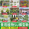 园林景观植物庭院三维树木3D乔木灌木地被组合花境花草花卉SU模型