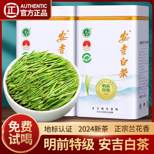 赛八仙安吉白茶2024年新茶，特级a明前绿茶，珍稀白茶散装茶叶礼盒装