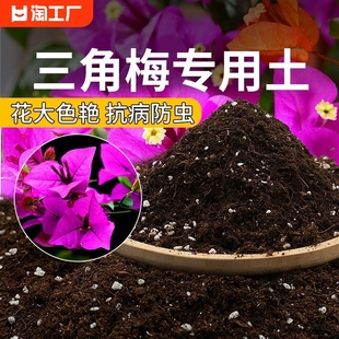 三角梅专用土营养土花土开花专用土盆栽土壤肥料泥土种植土培养土