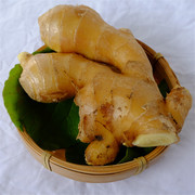 北京新鲜生姜调味品蔬菜月子姜老姜土姜黄姜味浓炒菜食用半斤特产