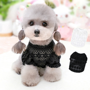秋装小型犬蕾丝泡泡袖，打底衫棉感泰迪，比熊内搭衬衫公主风博美衣服