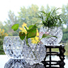 水晶加厚绿萝水培花盆玻璃花瓶透明花卉水养植物器皿大号摆件欧式