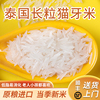 猫牙米长粒香大米2024年新米泰国香米超长炒饭专用丝苗