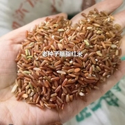 四川酵素种植老品种胭脂红米，5斤/袋阿旺农场出产