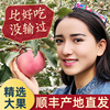 新疆阿克苏冰糖心苹果水果新鲜脆甜丑原产地当季特产整箱送礼盒装