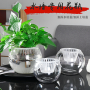 水培植物玻璃瓶 水培绿萝盆栽花盆透明花瓶摆件水养植物容器器皿