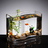 创意鱼缸s形玻璃金鱼缸(金鱼缸，)热带鱼小型桌面迷你水族箱乌龟缸客厅鱼缸