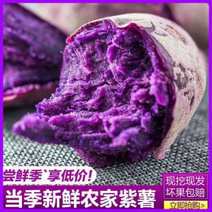 高山紫薯新鲜地瓜农家现挖软糯蜜，板栗10斤山芋小番薯蔬菜红紫心薯