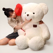 泰迪熊公仔超大号大熊抱抱熊猫玩偶毛绒玩具可爱女孩睡觉女生娃娃