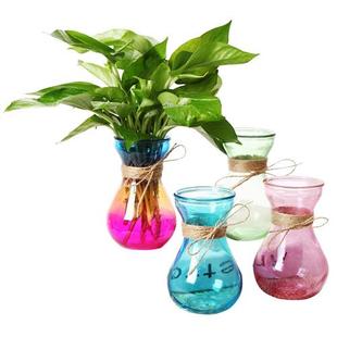 玻璃彩花瓶水培植物黄金葛容器养花透明瓶子水生水培花卉风信子瓶