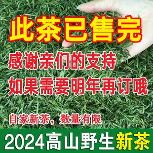 2024年新茶野生明前春茶绿茶，安徽溪口高山，毛峰茶叶清香口甘甜250g