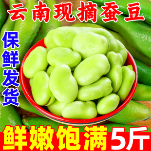 云南蚕豆新鲜5斤现摘蔬菜带壳胡豆青豆荚罗汉豆兰花豆豌豆荷兰豆
